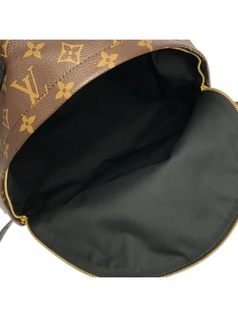 Louis Vuitton Monogram Palm Springs Backpack MM